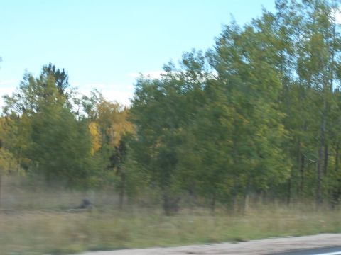1972 Ford Ranchero - A blurry outdoor scene shows trees and grass under a clear blue sky.