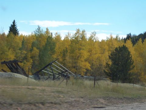 1972 Ford Ranchero - A collapsed wooden structure stands in a field with autumn foliage and a clear blue sky overhead.