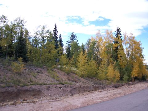1972 Ford Ranchero - Autumn trees line a dirt embankment next to a road under a partly cloudy sky.