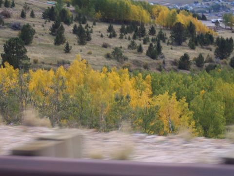 1972 Ford Ranchero - A hillside covered in trees displaying vibrant autumn colors, with a blurry foreground suggesting motion.