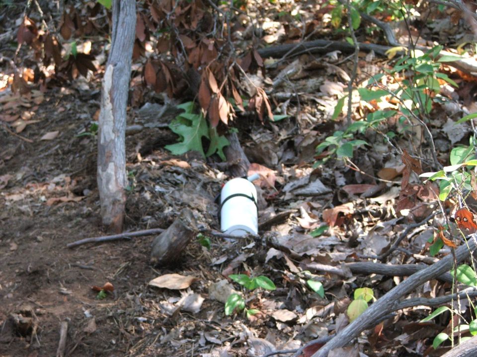 White cylindrical object with black strap on forest floor with leaves and branches