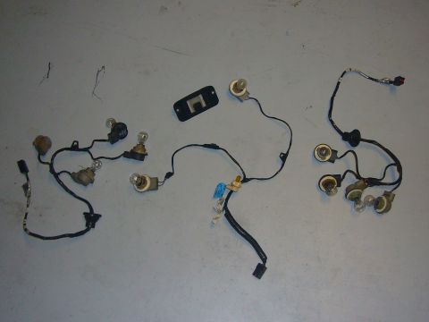 2000 Ford Crown Victoria - Several automotive wiring harnesses, each with multiple bulb sockets, are displayed on a plain background.
