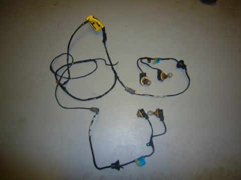 2000 Ford Crown Victoria - This is a wiring harness assembly that includes several light bulbs and connectors, likely for a vehicle's lighting system.