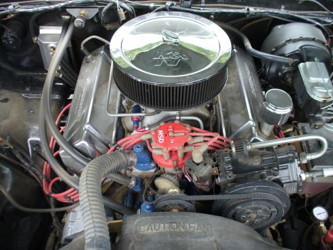 Motor - 1978 Ford Bronco