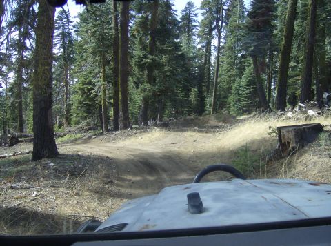 1986 Ford Bronco - Driving on a dirt road through a forest with trees on both sides.