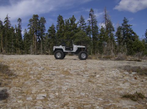 1986 Ford Bronco - A modified off-road jeep sits on a rocky trail surrounded by pine trees under a partly cloudy sky.