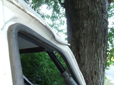 1995 Ford Bronco - Close-up view of a vehicle's door frame and roofline, with a large tree in the background.