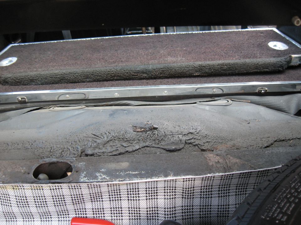 Car trunk interior with carpeted deck and visible spare tire. The metal paneling shows some wear and tear