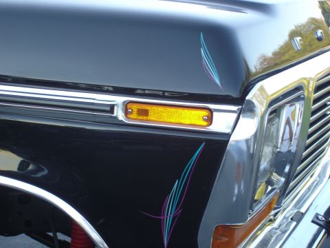 1979 Ford F-250 - Close-up of the front corner of a 1979 Ford F-250 pickup truck, showing the turn signal and pinstripes.