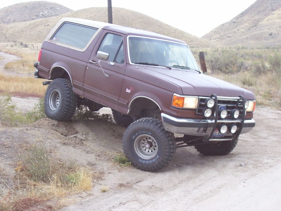 bronco w/ a little flexing 2