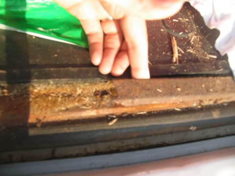 1995 Ford C-350 (Centurion Conversions) - Close-up of a rusted metal edge with debris, a hand is visible.