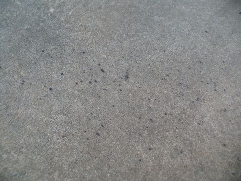 1995 Ford C-350 (Centurion Conversions) - The image shows a close-up of concrete ground, not a vehicle.