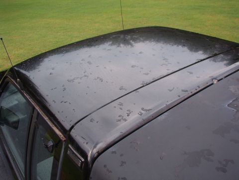 1993 Mitsubishi FTO - The top of a black vehicle is visible, covered in water droplets, with a grassy area in the background.