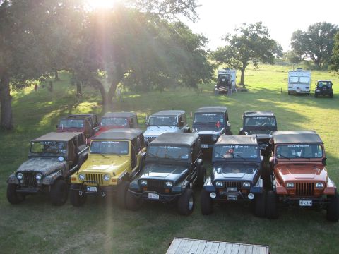2001 Jeep Wrangler - A group of Jeep Wranglers are gathered on a grassy field under a large tree, with the sun shining brightly.