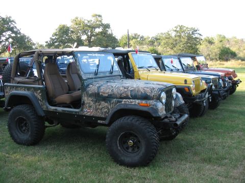 2001 Jeep Wrangler - Multiple Jeeps are parked in a row on a grassy field with trees in the background.