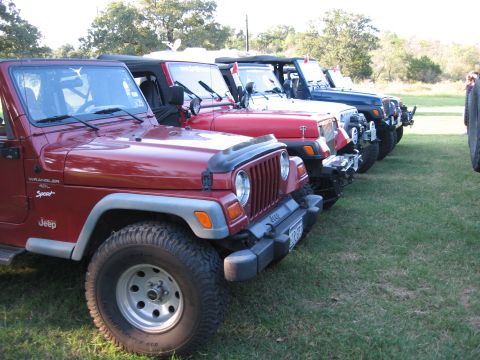 2001 Jeep Wrangler - A line of Jeep Wranglers are parked on a grassy field under a clear sky.