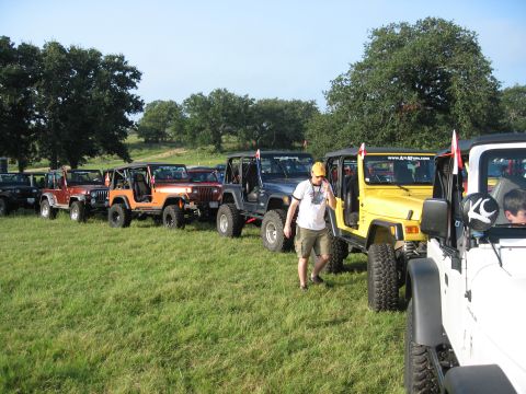 2001 Jeep Wrangler - A group of Jeep Wranglers are parked in a grassy field on a sunny day, with a man standing between two of them.