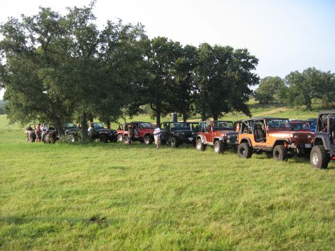 2001 Jeep Wrangler - Multiple Jeep Wranglers are parked in a line under large trees in a grassy field.