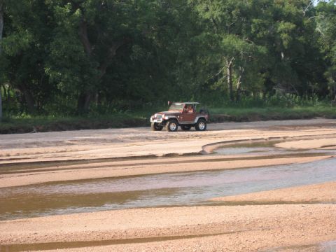 2001 Jeep Wrangler - A Jeep Wrangler drives down a sandy path near a wooded area.