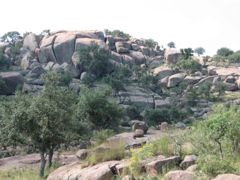 2001 Jeep Wrangler - A natural landscape features large boulders and vegetation on a sunny day.