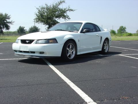 1999 Ford Mustang - White 1999 Ford Mustang parked in a lot on a sunny day.