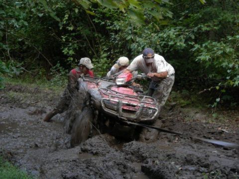 1992 Ford F-150 - Three individuals struggle to extract a red ATV from thick mud in a wooded area.