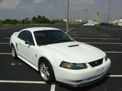 1999 Ford Mustang photo