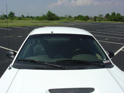 1999 Ford Mustang - A white 1999 Ford Mustang is parked in an empty lot, showing its hood and interior.
