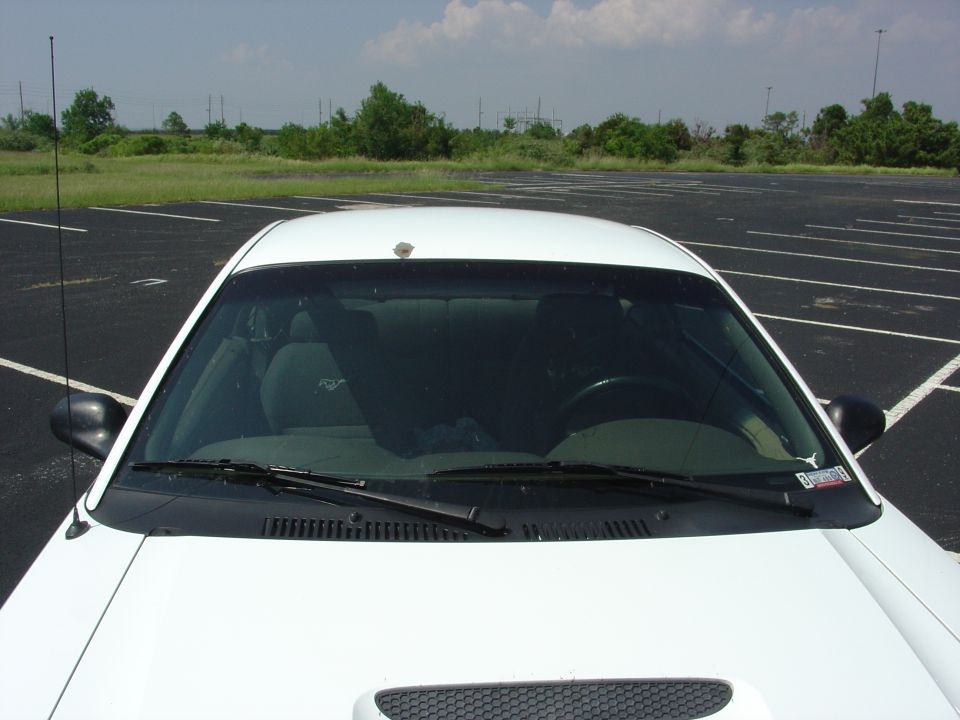 White 1999 Ford Mustang interior and hood, viewed from above