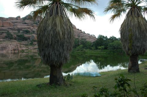 2001 Jeep Wrangler - A small blue boat rests on the grassy shore of a lake, with palm trees and rocky hills in the background.