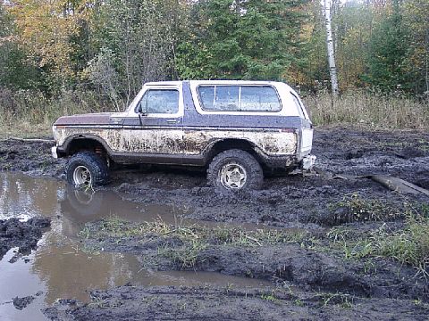 1978 Ford Bronco - This 1978 Ford Bronco is deep in the mud, with only its tires and lower body visible.