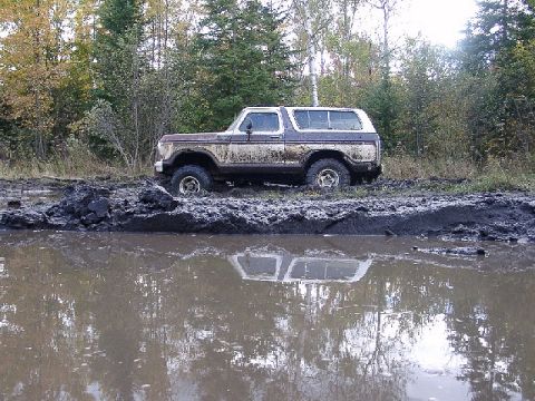 1978 Ford Bronco - This 1978 Ford Bronco is partially submerged in mud and water, surrounded by trees.