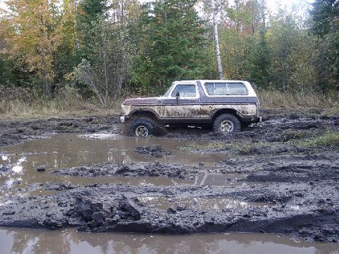 1978 Ford Bronco - A 1978 Ford Bronco is stuck in a deep mud puddle surrounded by trees.