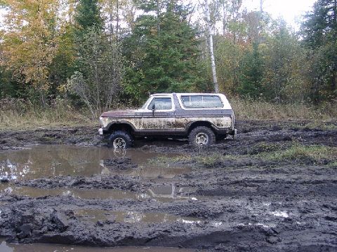 1978 Ford Bronco - This 1978 Ford Bronco is stuck deep in a muddy area, surrounded by trees.