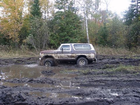1978 Ford Bronco - This classic 1978 Ford Bronco is deep in the mud, surrounded by a wooded area.