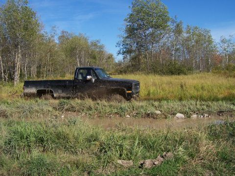 1996 Ford Bronco - A black pickup truck is stuck in a muddy ditch surrounded by tall grass and trees under a blue sky.