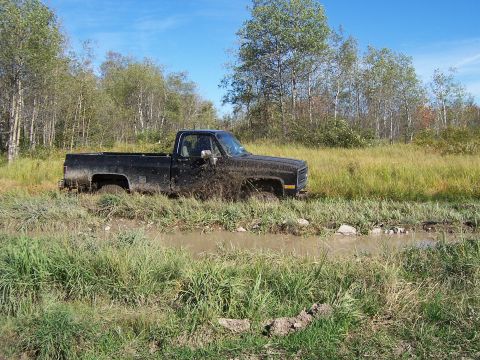 1996 Ford Bronco - A black pickup truck is stuck in a muddy ditch surrounded by tall grass and trees.