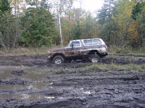 1978 Ford Bronco - This 1978 Ford Bronco is deep in the mud, surrounded by trees.