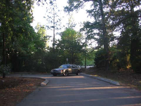 2000 Ford Crown Victoria - A tan 2000 Ford Crown Victoria is parked in a lot surrounded by trees.