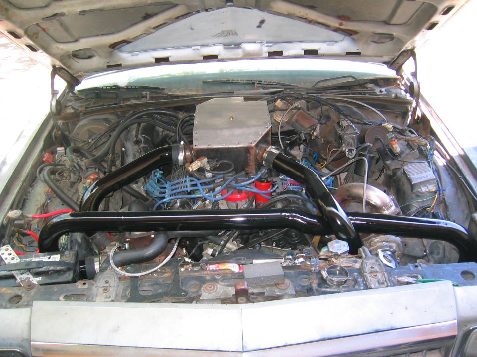 1981 Ford LTD in 2007