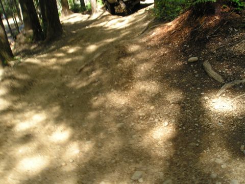 1989 Ford Bronco - An off-road vehicle navigates a wooded trail on a sunny day.