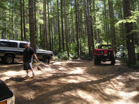 1989 Ford Bronco - Two off-road vehicles are parked in a sun-dappled clearing surrounded by tall trees.
