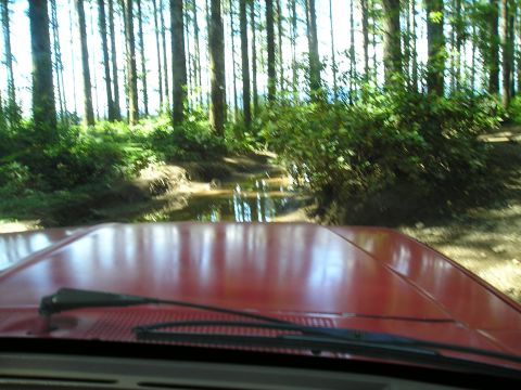 1989 Ford Bronco - Driving a red vehicle through a forest, approaching a muddy section of the trail.