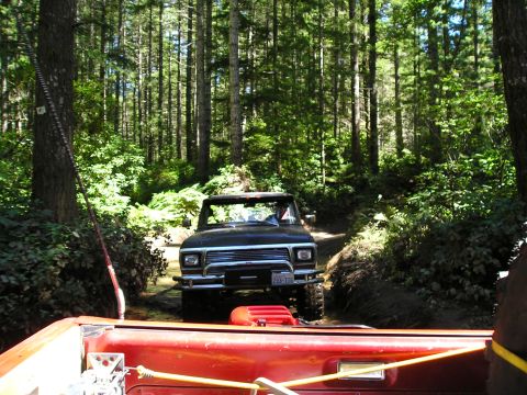 1989 Ford Bronco - Two trucks navigate a wooded trail, one following the other through the trees.