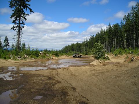 1989 Ford Bronco - Off-road vehicle in a muddy clearing surrounded by forest.