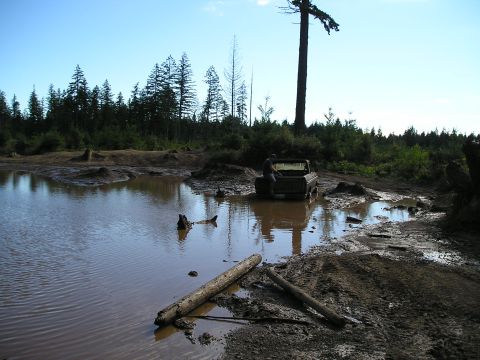 1989 Ford Bronco - A person sits in a muddy pickup truck that is stuck in a large puddle in a wooded area.