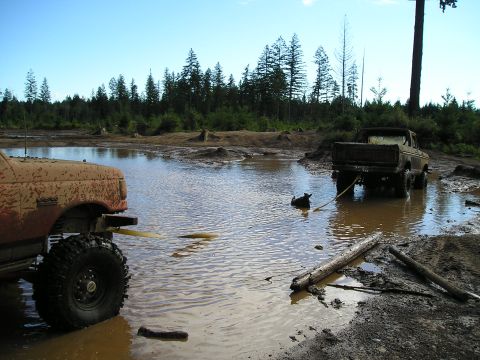 1989 Ford Bronco - Two trucks are stuck in a muddy area with trees and a clear sky.