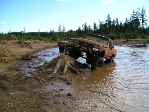 1989 Ford Bronco - Two trucks navigate a muddy, wooded area with a clear blue sky overhead.