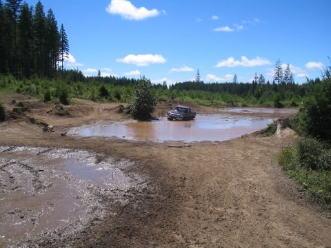 1989 Ford Bronco - A vintage pickup truck navigates a muddy obstacle course in a wooded area on a sunny day.