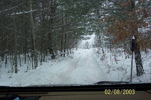 1978 Ford Bronco - Driving through a snow-covered forest road from the interior of a vehicle.